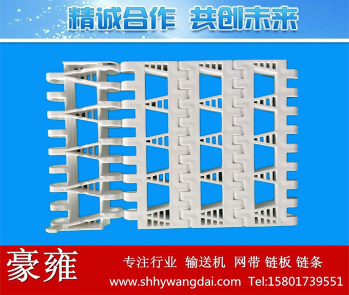 海鲜产品清洗网带OPB大孔网链洗碗机网带耐酸碱模块输送带6100链板
