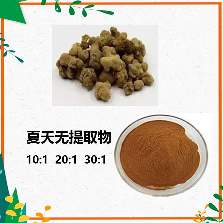 夏天无提取物 10:1 水提 夏天无浸膏 夏天无浓缩粉