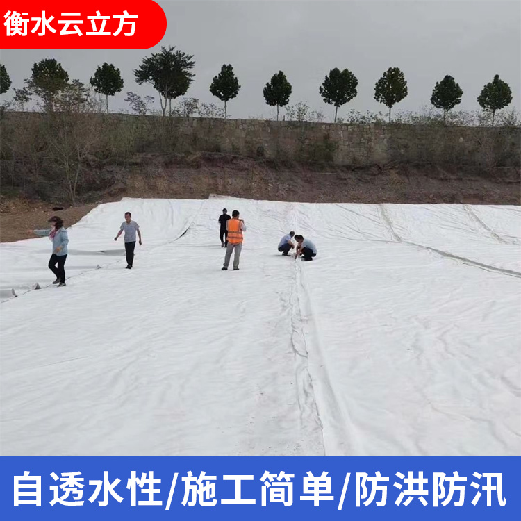 土工布图片