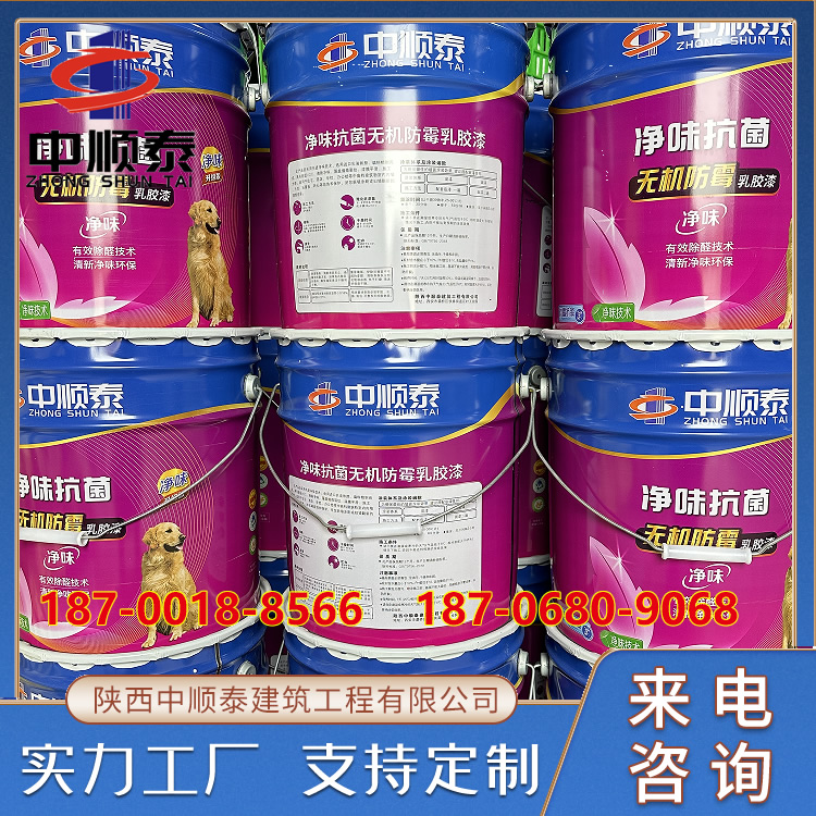 水性环保0级防霉 防火抗菌净味  净味抗菌无机防霉乳胶漆
