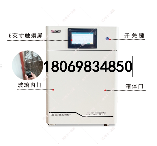 三气细胞培养箱CYSQ-80-III 多气体培养箱 氧气氮气二氧化碳气体箱 微生物生长箱