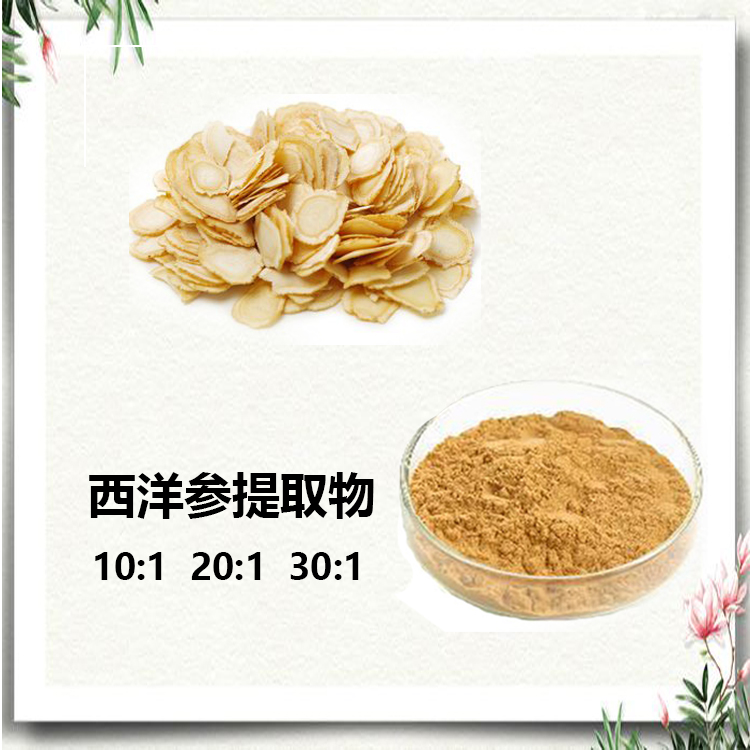 西洋参皂苷 80% 西洋参提取物 10:1 水提 西洋参粉