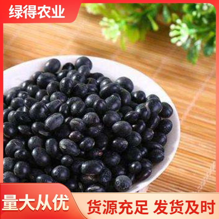 黑大豆种子精选材质