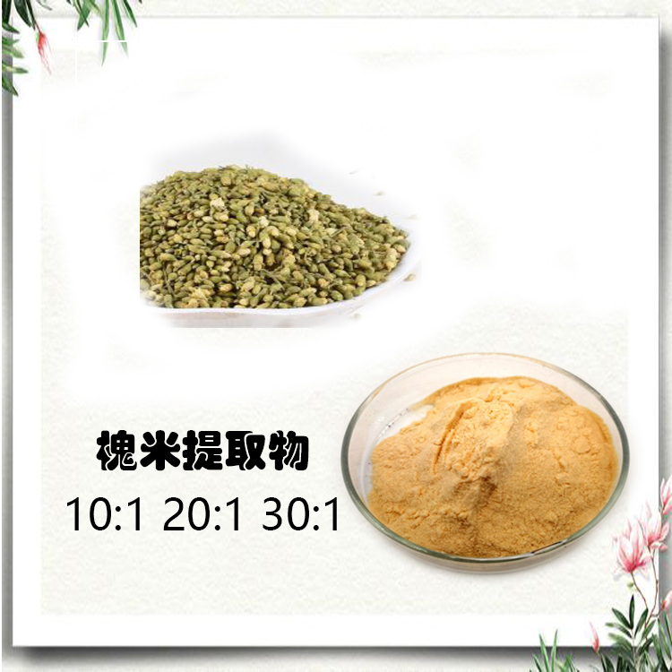 槐米槲皮素 95% 槐米粉 槐米提取物 10:1 水提