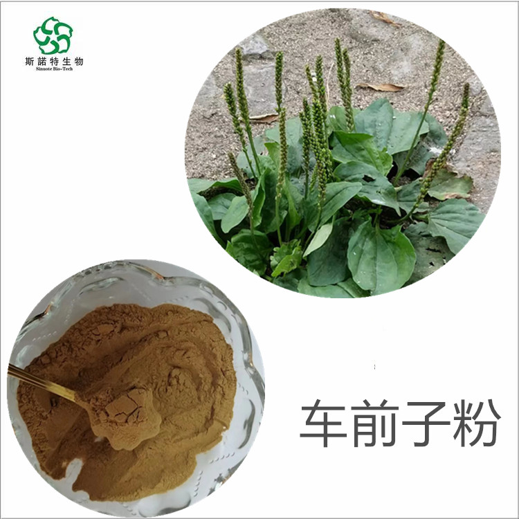 生地提取物  蒲黄提取物 藕节粉 石决明提取物 车前子粉