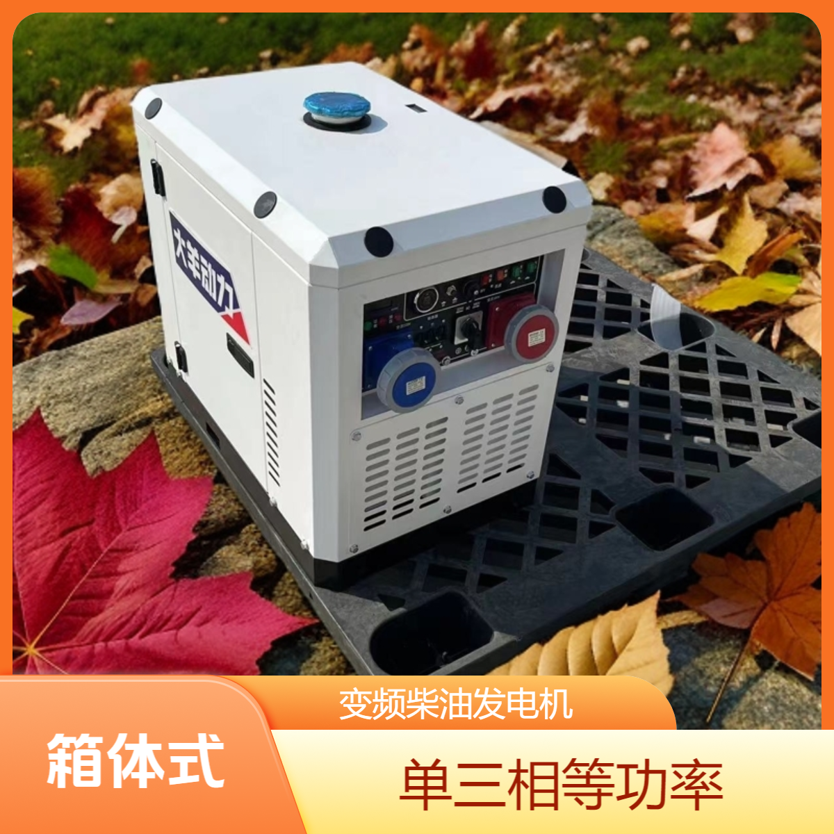 大羊动力8KW变频发电机