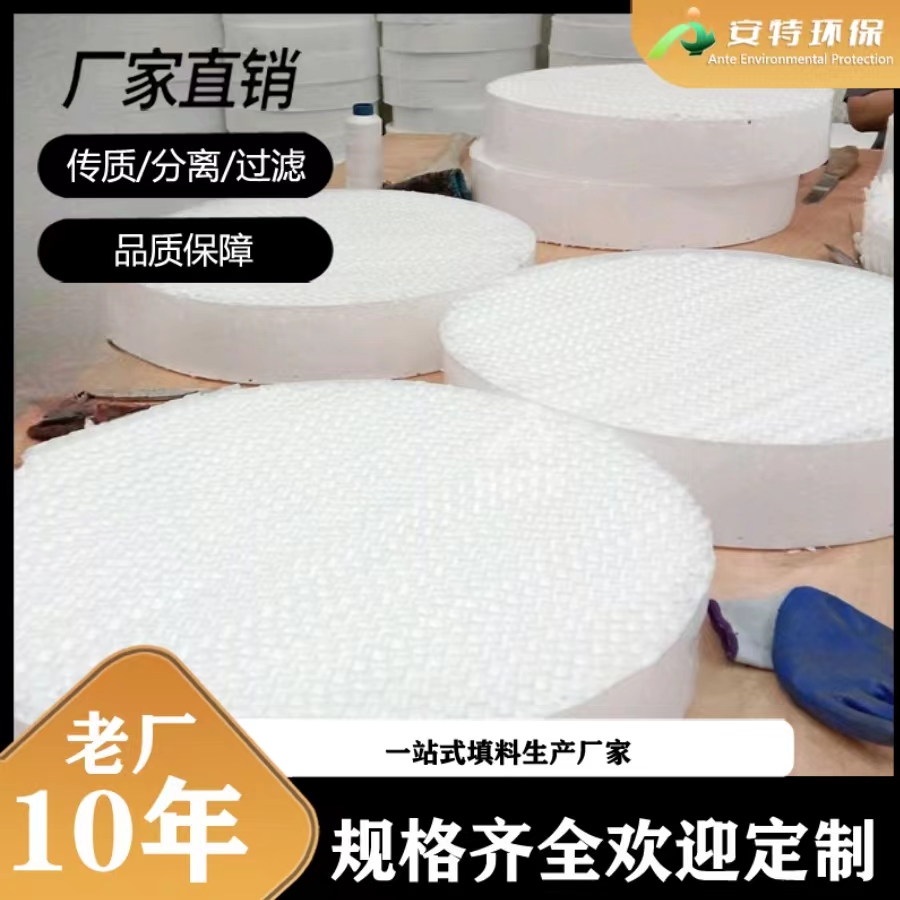四氟规整波纹填料 250Y孔板波纹填料价格 安特环保厂家出品