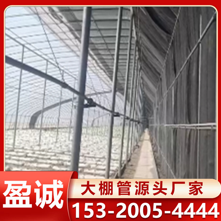 薄膜温室大棚 日光温室 温室大棚管冬暖棚设计 建造 施工一体