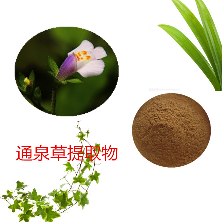 通泉草提取物 10:1 水提 通泉草粉 98% 通泉草浸膏 1.13比重