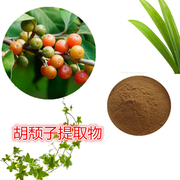 胡颓子提取物 10:1 水提 多规格比例 胡颓子粉 胡颓子浸膏
