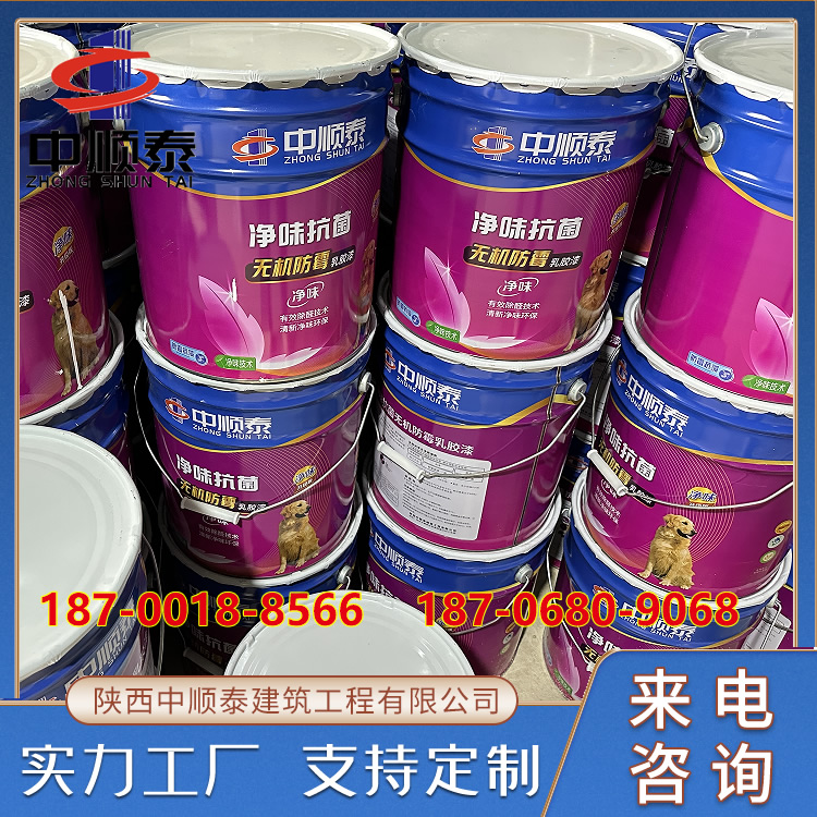 中顺泰 净味抗菌 无机防霉乳胶漆 乳胶漆 室内装饰白色无机涂料