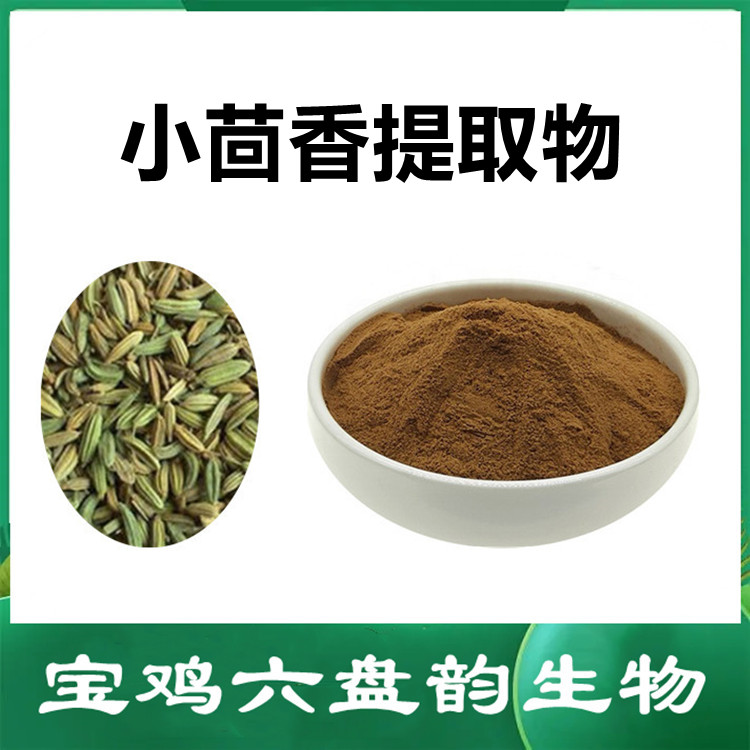 小茴香提取物  粉质细腻 无杂质 流动性好 水溶性好 含税运