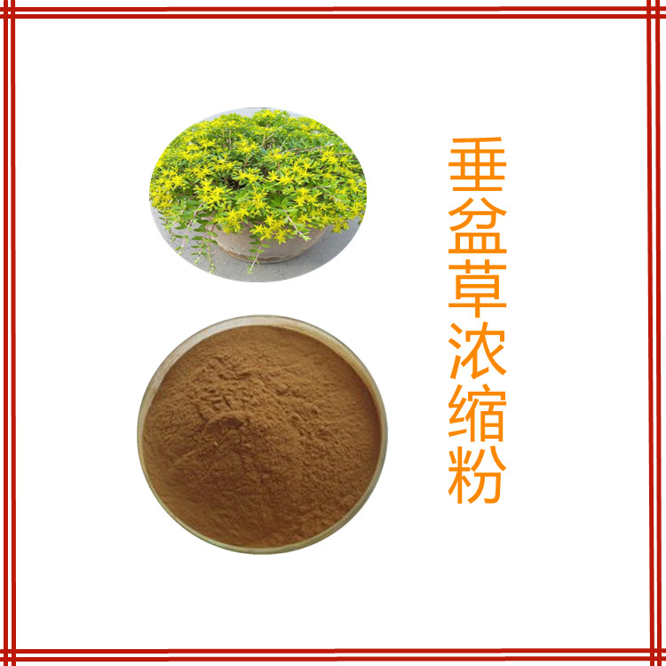 垂盆子浓缩粉   三遍水提  国标生产   植物原料  固体饮料   比例产品