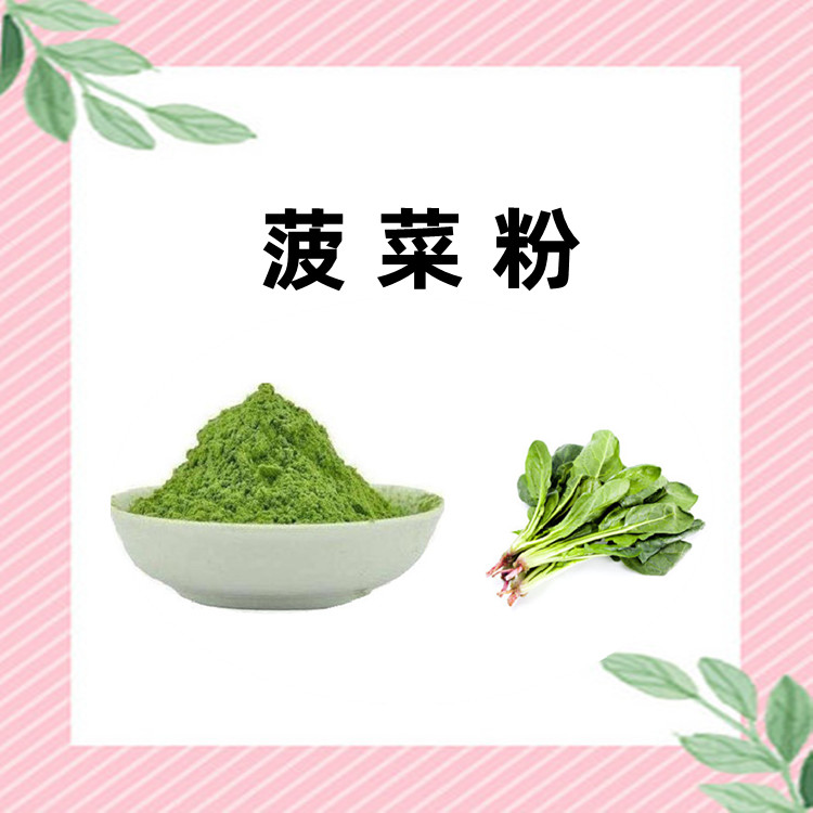 菠菜粉  六盘韵生物 果蔬粉  提取物 品质保证  库存充足