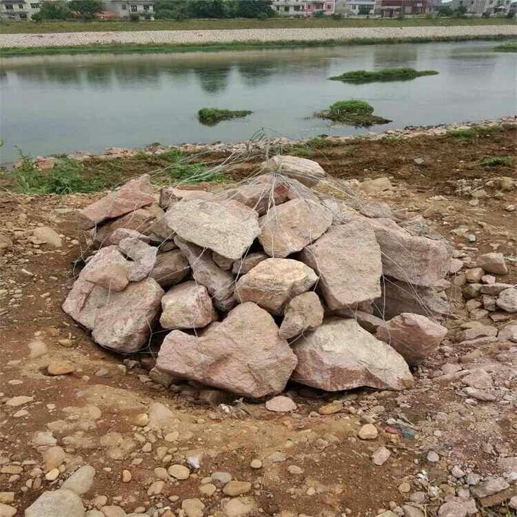 pp网兜热线