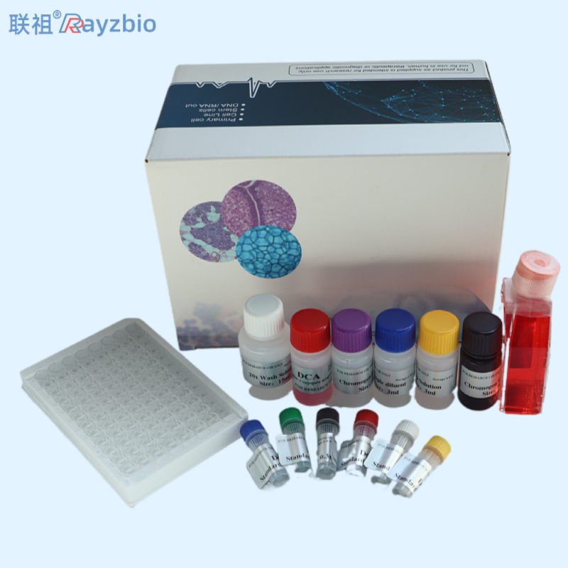 PCR检测试剂盒说明书