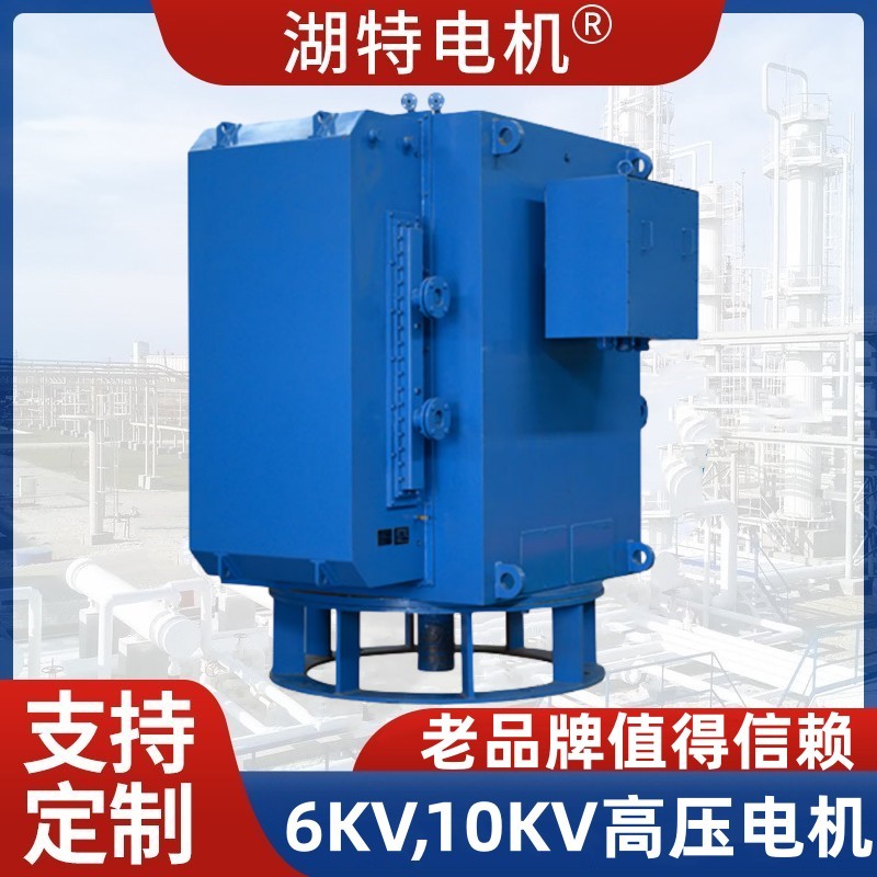 YL，TL，TKSL立式高压电机厂家