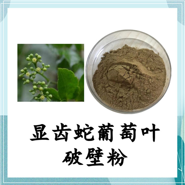 沃特莱斯生物 显齿蛇葡萄叶提取物 萃取粉 水溶粉 1公斤起订