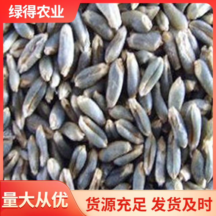绿小麦咨询