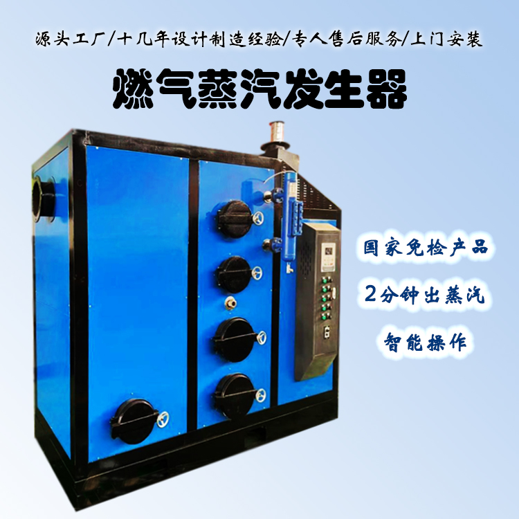 燃气蒸汽发生器 1000kg 蒸馒头煮豆浆酿酒蒸馏