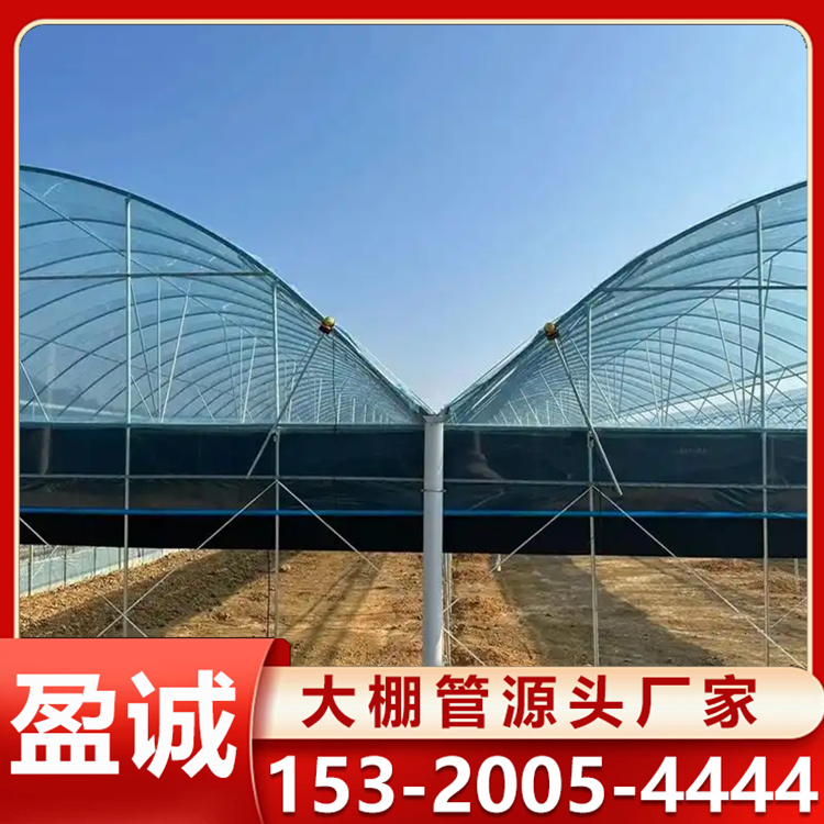 连栋大棚 智能温控 大棚骨架 内部利用率较高 维护简单 搭建工期短