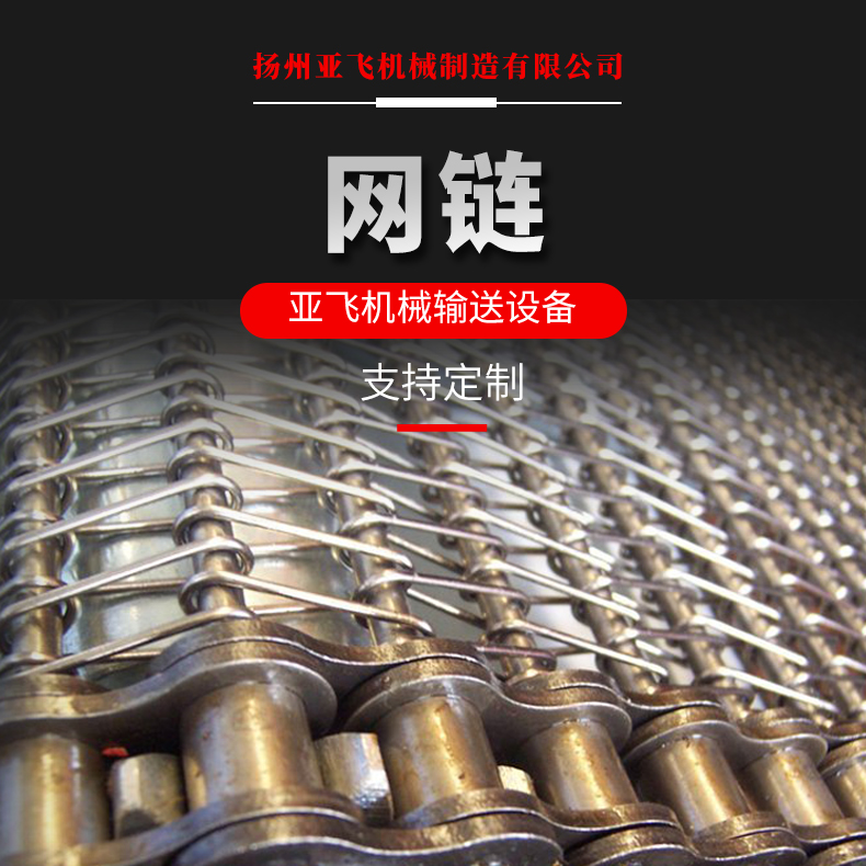 网链网带 巧克力涂层机麻花加工链条式食品线 窑炉网链 亚飞机械