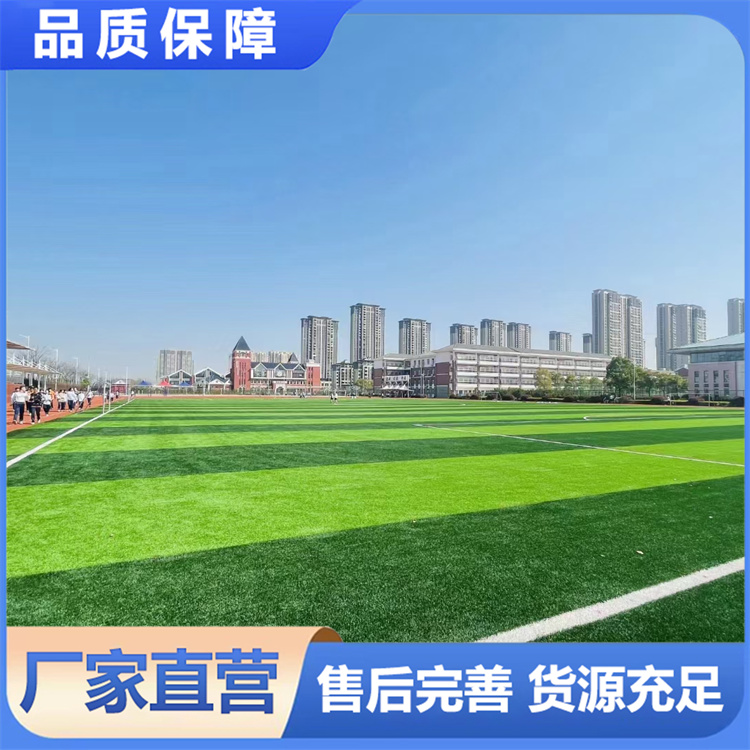 仿真草坪足球场填充型人工草皮厂家假草皮塑料绿地毯铺地人造草坪