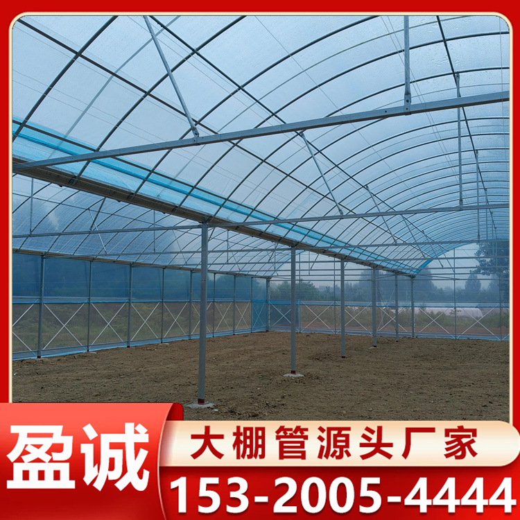 大棚材料加工薄膜连栋大棚 骨架稳定耐用 花卉大棚 造价合理 可定制