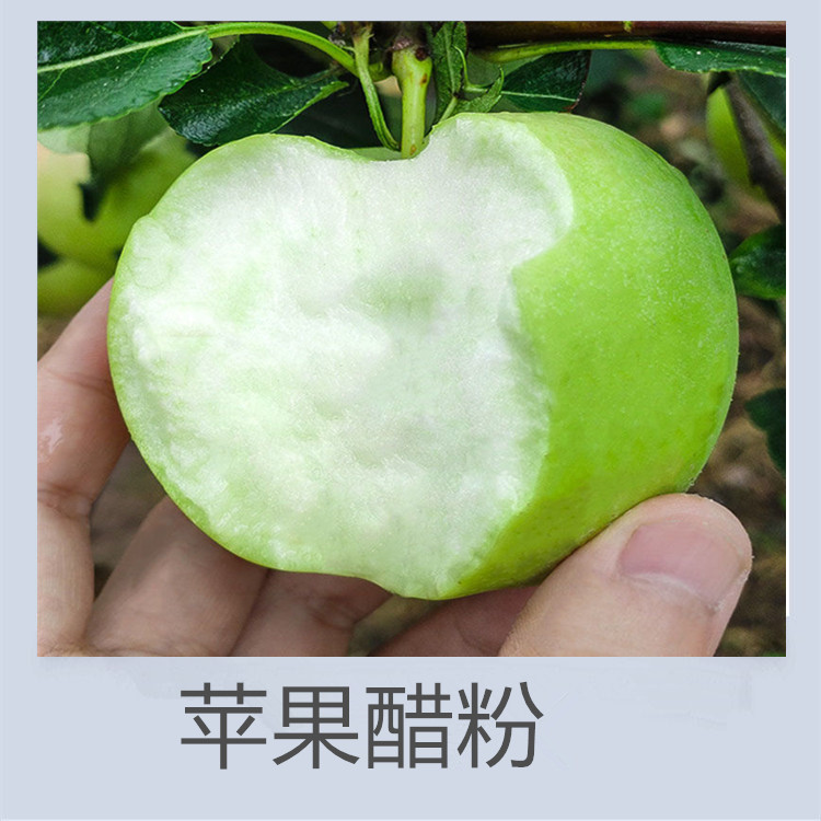 苹果醋粉 总酸10% 可定制生产 来料加工