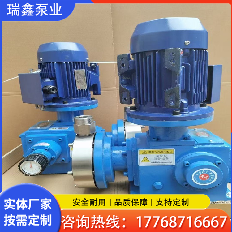 计量泵  瑞鑫泵业欢迎您的咨询