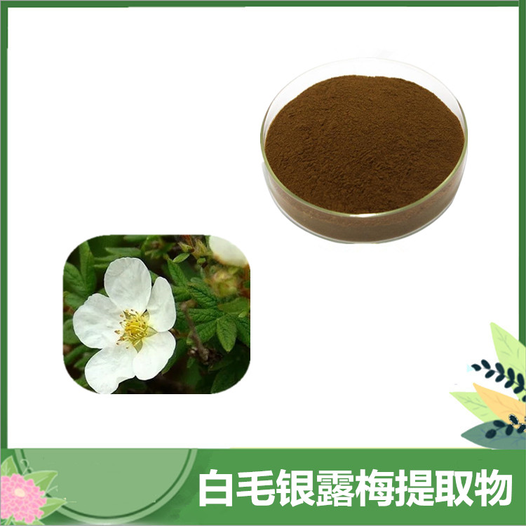 白毛银露梅提取物 30:1/50:1白毛银露梅粉 华西银腊/露梅比例萃取