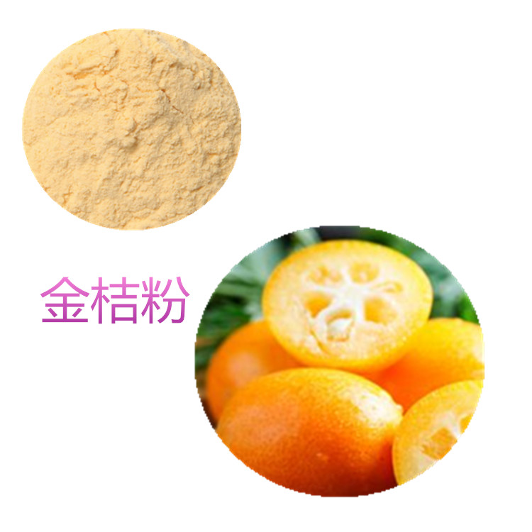 金桔提取物 10:1 水提 金桔膳食纤维 金桔浓缩粉 金桔浸膏