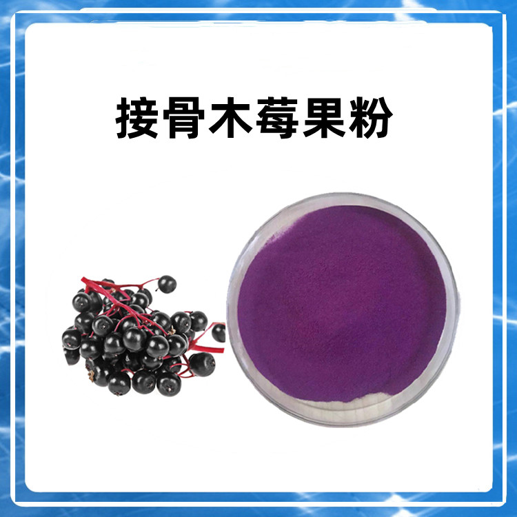 接骨木莓粉  粉末细腻 流动性好 植物原料 质量稳定 六盘韵