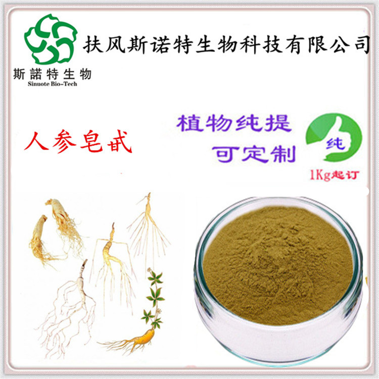 人参皂苷 人参皂甙  含量80% 斯诺特生物 植物原料