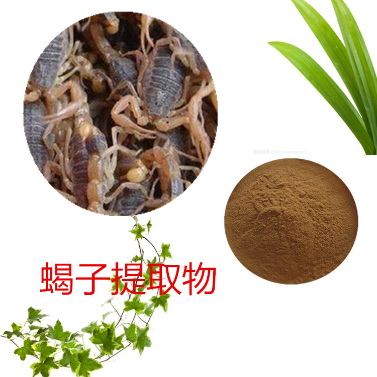 全蝎提取物 10:1 水提 沃特莱斯生物 全蝎粉 全水溶粉末