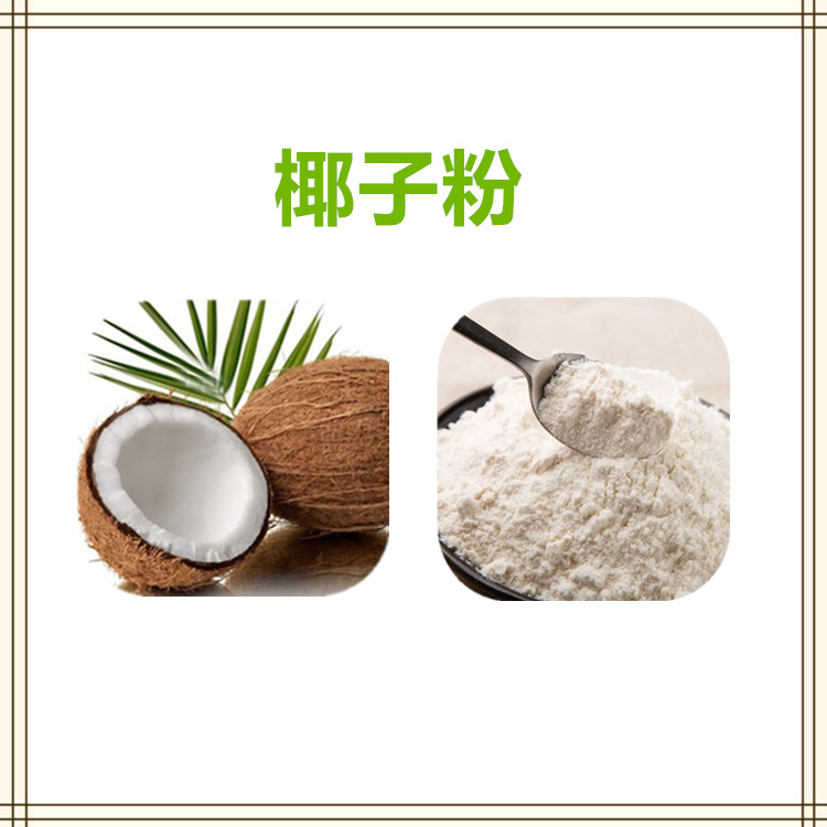 沃特莱斯生物 椰子粉 水溶性粉末 椰子原粉 1公斤起订 可寄样
