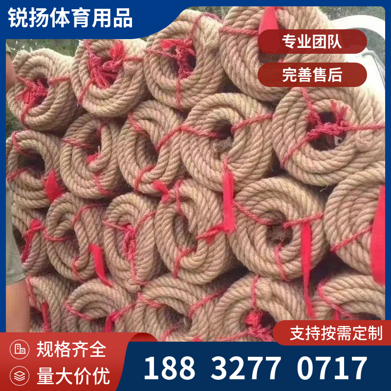 学校体育器材 健身器械 中小学达标器材品种齐全