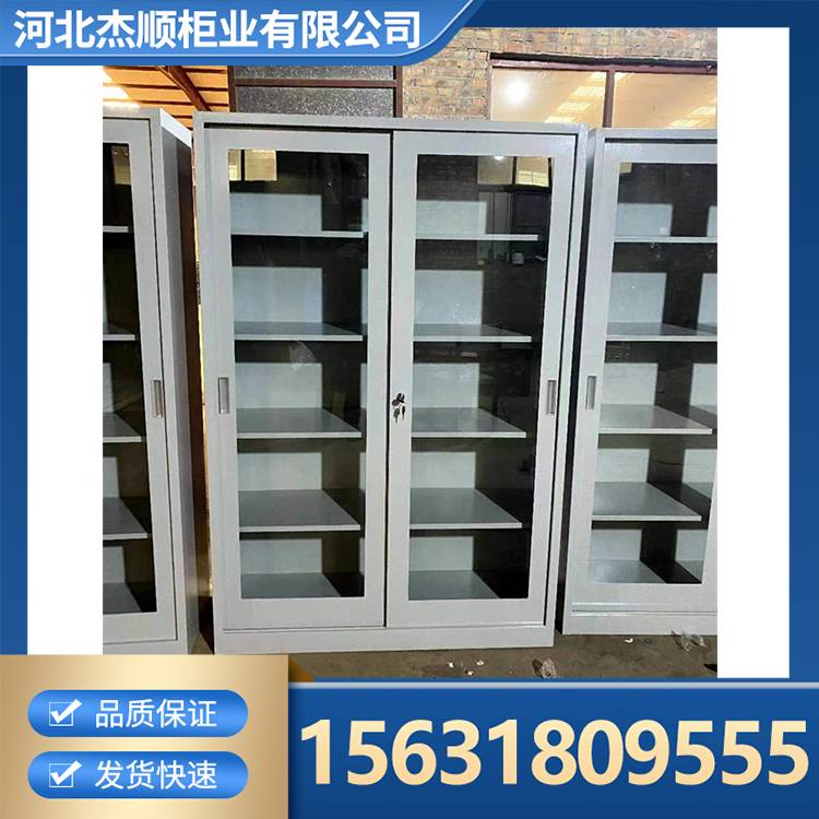 资料柜 铁皮柜 资料档案柜 储物柜 实体工厂
