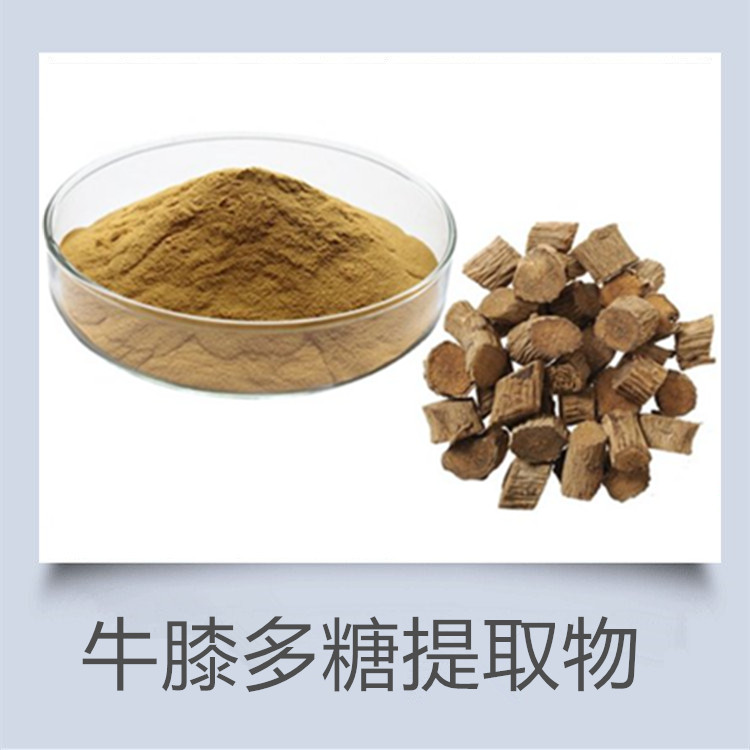 牛膝多糖 黄芪多糖 双黄连粉