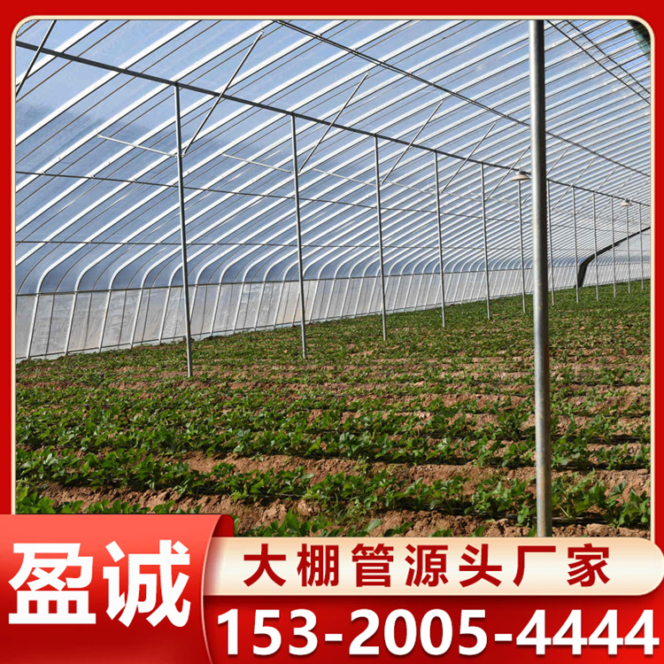 日光温室 椭圆管种植棚 蔬菜大棚 耐腐蚀 可实地测量搭建