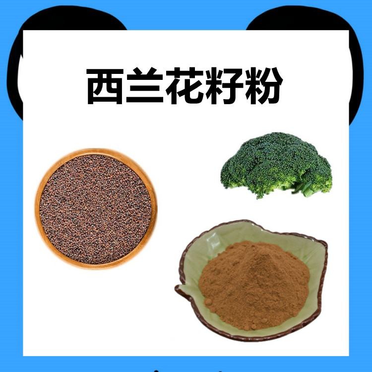 西蓝花种子又名西蓝花籽粉 品质生产 粉末细腻  水溶性好