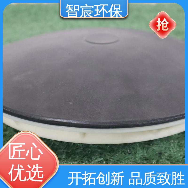 膜片微孔曝气器 污水曝气系统 氧利用率高 运行稳定 智宸