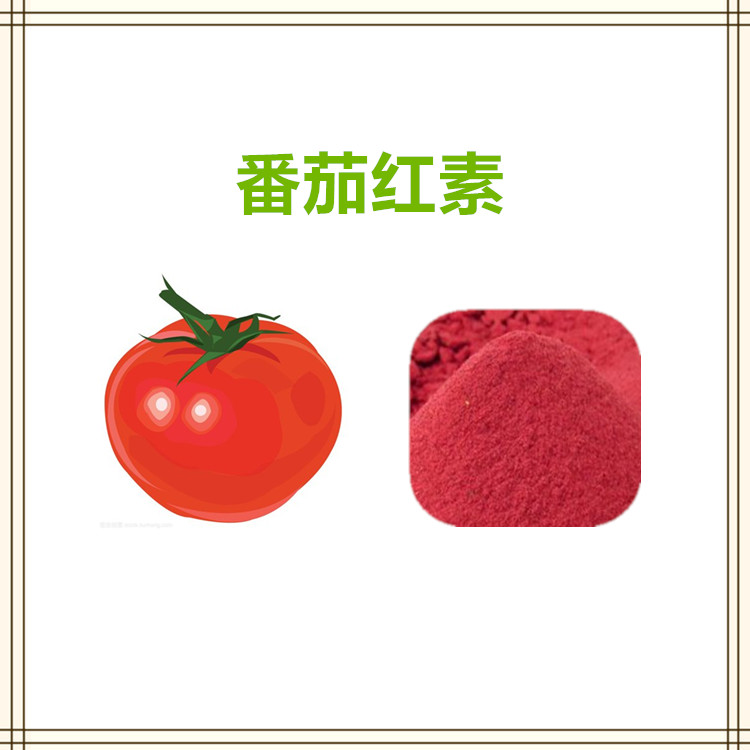 沃特莱斯生物 番茄粉 番茄红素 食品原料 多规格可定制 可寄样