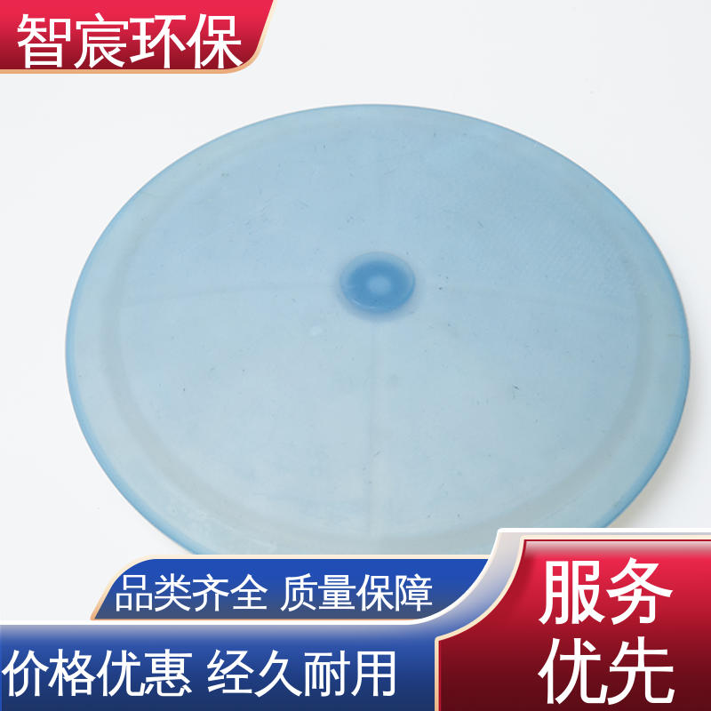 智宸 支持定制 氧利用率高 过滤池污水处理用 膜片微孔曝气器