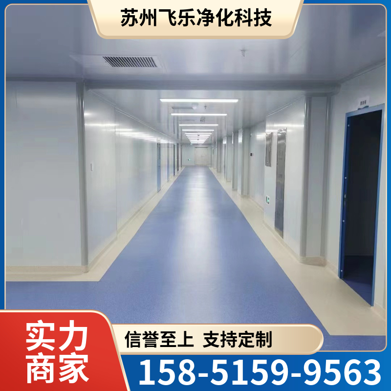 无尘净化工程   洁净工程  飞乐净化