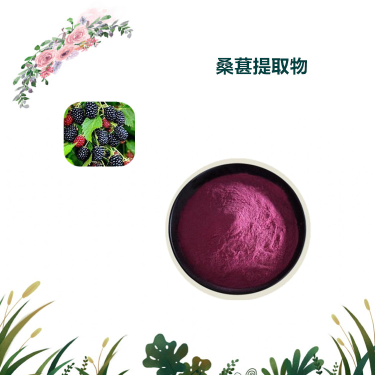 沃特莱斯生物 桑葚酵素粉 水溶性粉末 1公斤起订 可寄样