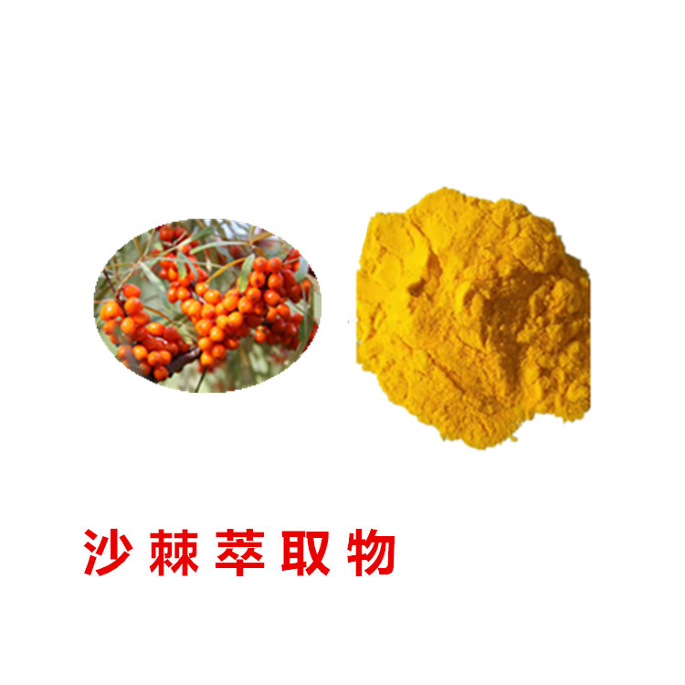 沙棘粉 打浆喷雾干燥工艺 保留营养成分 口感浓郁 资质全
