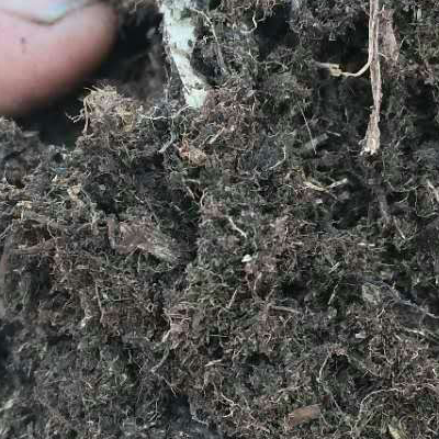 映天青营养土绿化种植土合成泥炭土有机质含量高促进果蔬生长