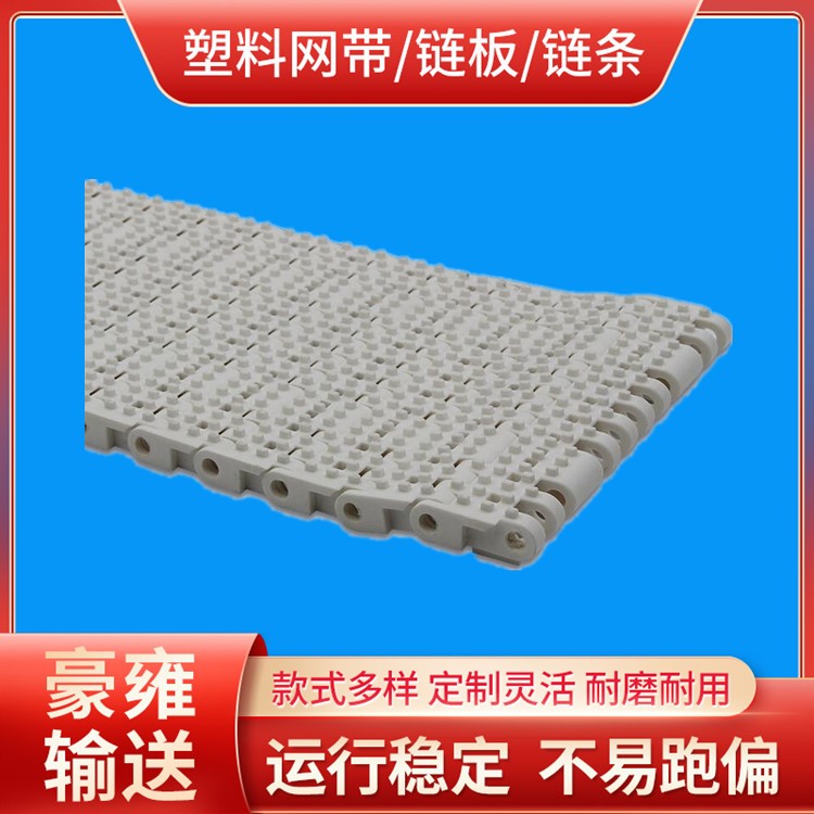 直行塑料模块链网节距25.4网链输送带凸点网带链模块输送带
