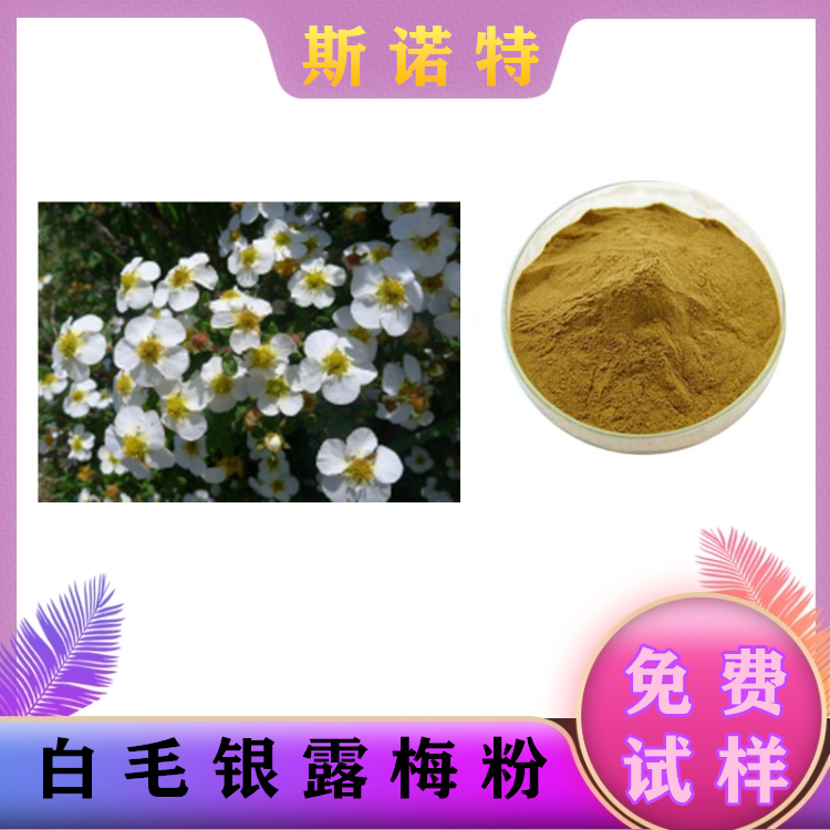 白毛银露梅提取物 食品原料 粉末细腻 规格齐全 附检测报告